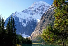 葡萄牙对阵加纳，这场世界杯对决有哪些看点和关键因素？